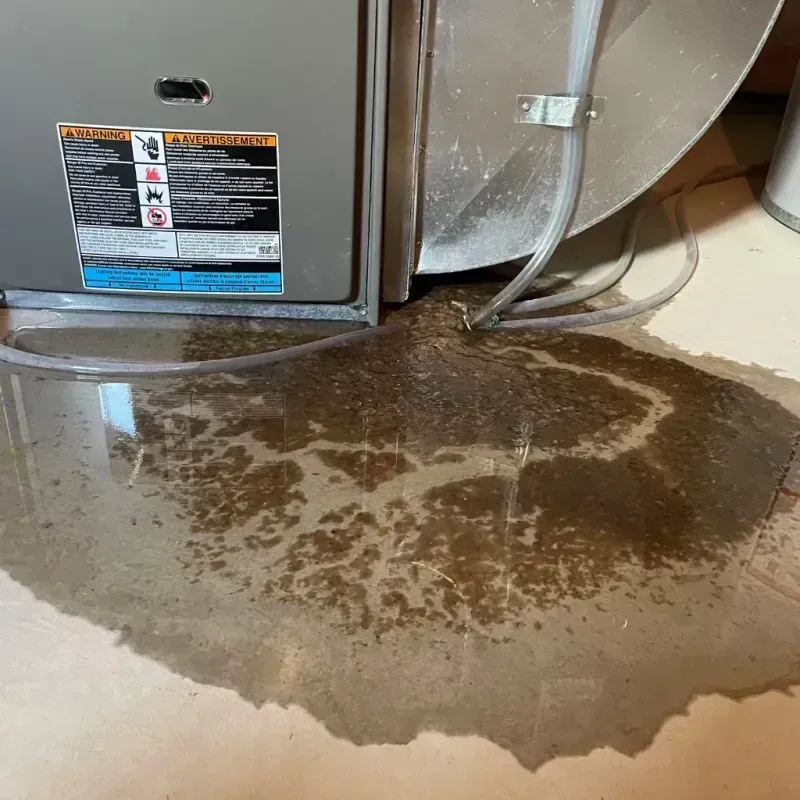 Appliance Leak Cleanup in Clyde, NC